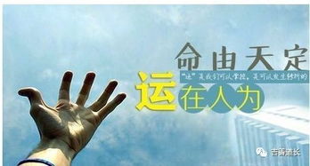 偏印太多的人怎么化解（偏印太多怎么办）