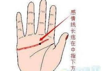 如何从女子的手相中解读爱情（如何从女子的手相中解读爱情）