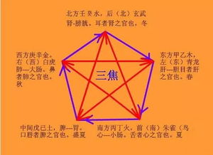 女运旺财风水摆件（女运旺财风水摆件图片）