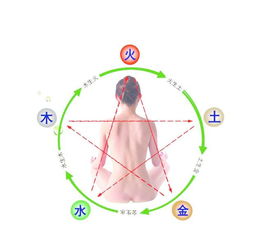 医生的八字特征