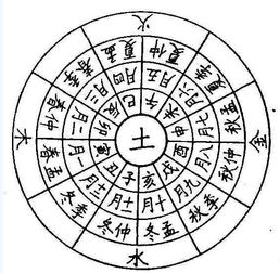 天干地支算命基础详解(天干地支算命基础详解图)