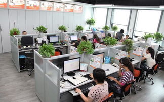 影响公司的风水有哪些