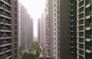 印旺身强的八字性格