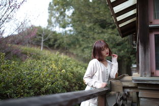 夫妻经常吵架风水