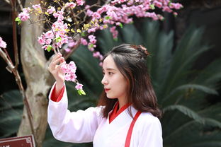 女人有大财的八字特征