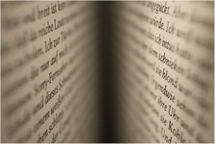 学习成绩好的八字特征