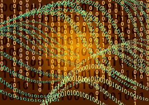 八字什么格局不易有子嗣