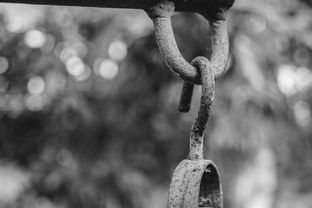 领导的八字（领导的八字特征）