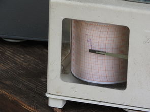 什么样的八字胆子小(八字怎么瞧
胆子大小) 什么样的八字胆子小(八字怎么瞧
胆子大小)