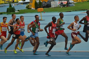 走比肩大运有什么特征（比肩大运的特点）