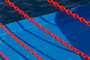 五行属火无木该怎么补