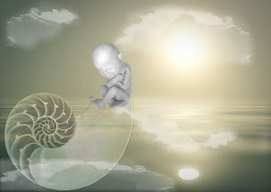 八字过弱怎么办（八字过弱怎么办字弱怎么补救）