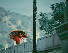 喜用神为土木合适佩戴什么