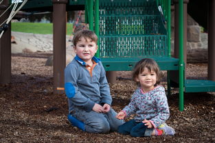 红艳桃花的查法（红艳桃花的查法年干）