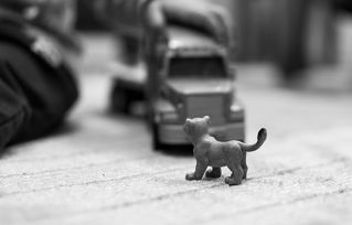 金命人无什么（1985海中金命无什么怎么瞧）