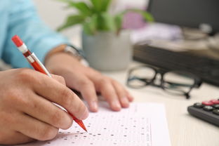 八字看感情喜欢程度（八字 看感情）