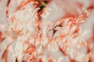 八字金水多的人特征（八字里金水多）