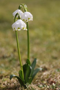 一辈子不缺钱花的八字（一辈子不缺钱花的八字短句）