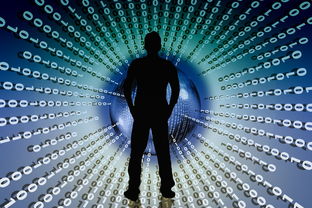 什么八字适合学互联网（什么八字适合学互联网专业）