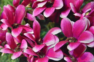 哪种八字容易发横财（哪种八字容易发横财呢）