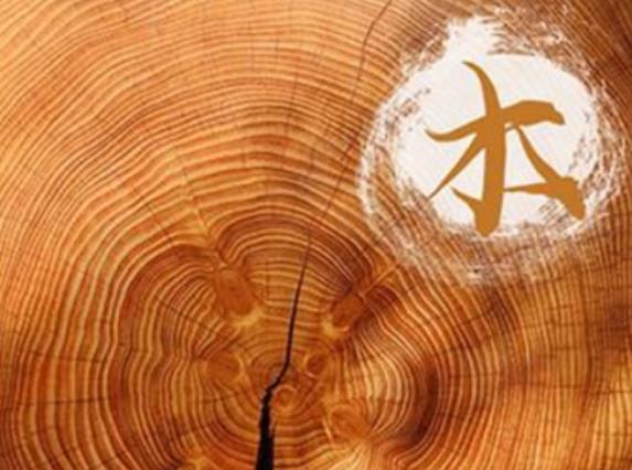 木命之人合适做什么行业