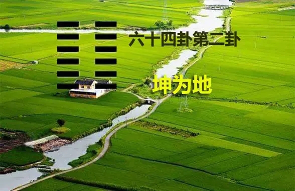 六十四卦：坤为地卦详解（六十四卦坤为地卦详解）
