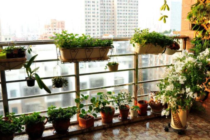 阳台风水的布局讲究