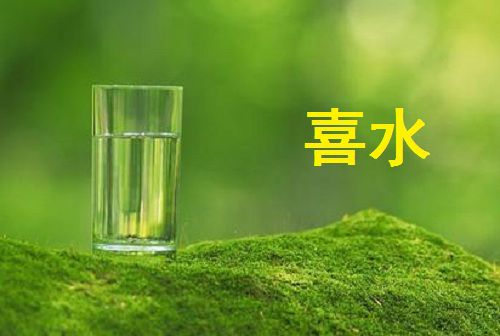 八字喜水如何补水