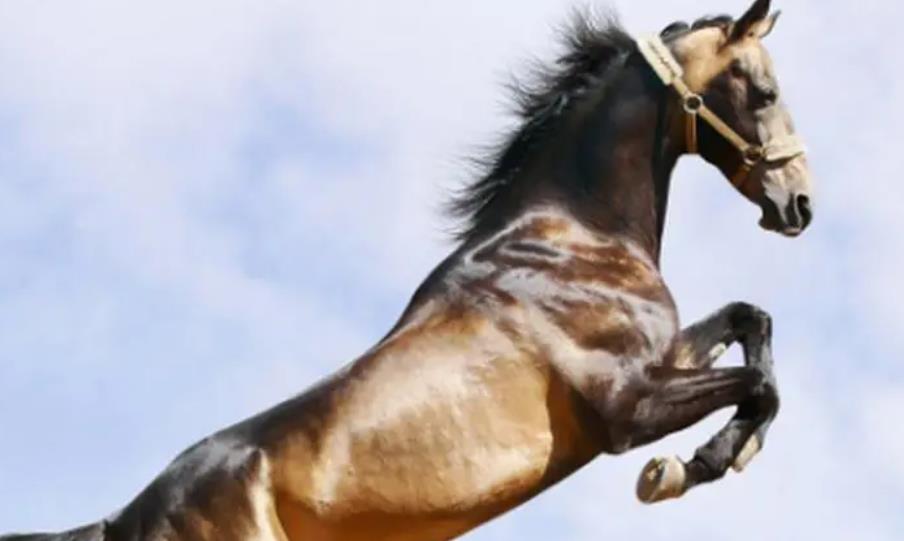 360截图20240401155652876.jpg 360截图20240401155652876.jpg