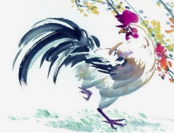 金鸡之命是什么意思