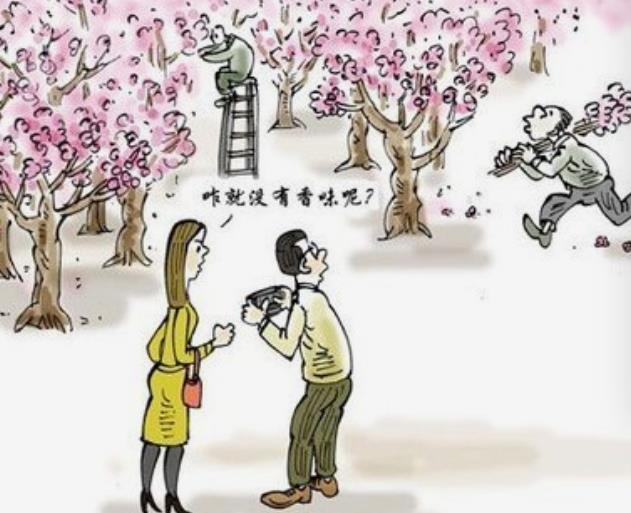 八字看你异性缘如何