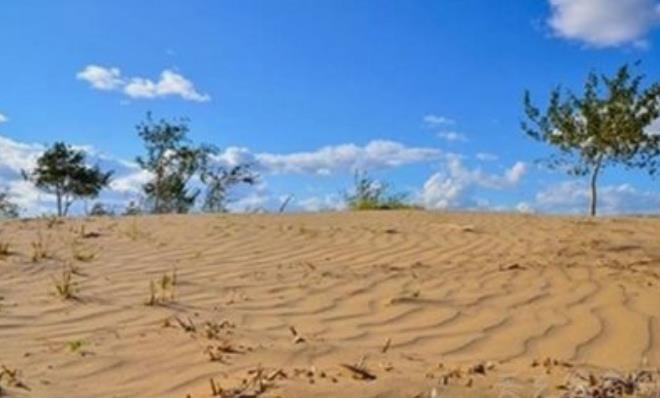 沙中土命的含义