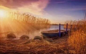 十神喜忌看富贵