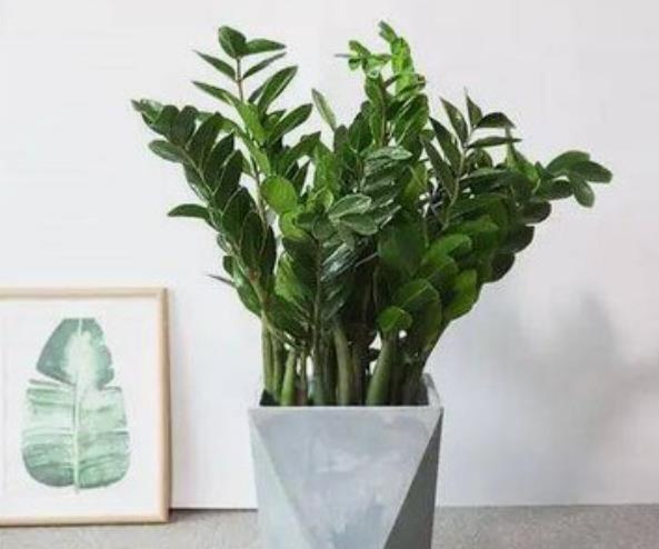 八字中选取用神和忌神