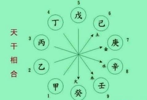 八字天干五合解析