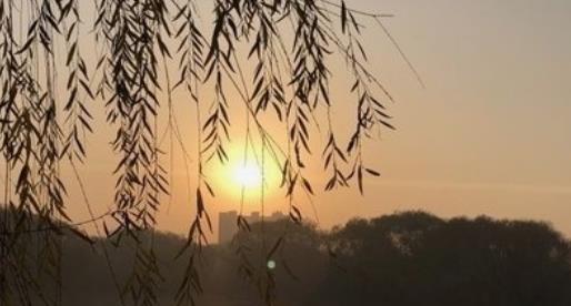 杨公日格凶断秘诀