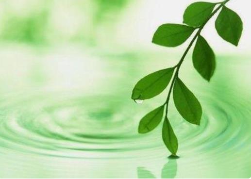 女命走大运偏印