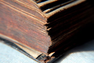 民间失传的算命口诀超准