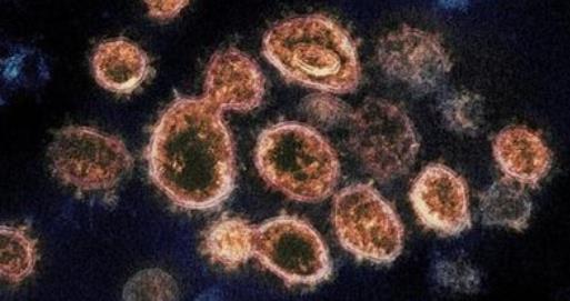 八字看灾病应期技巧