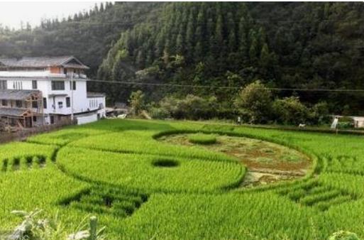 风水中的砂水及龙