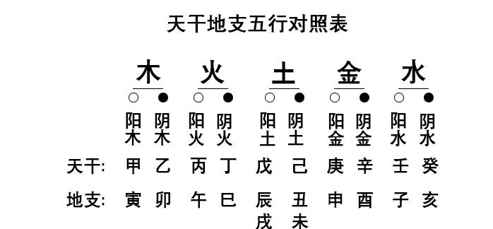 八字十二地支五行