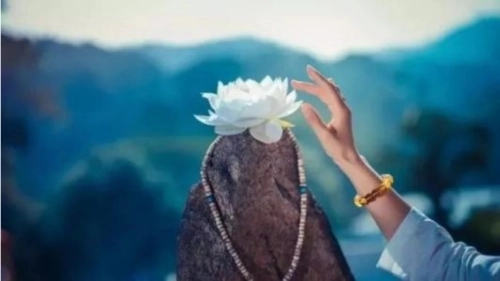 八字看人品技巧