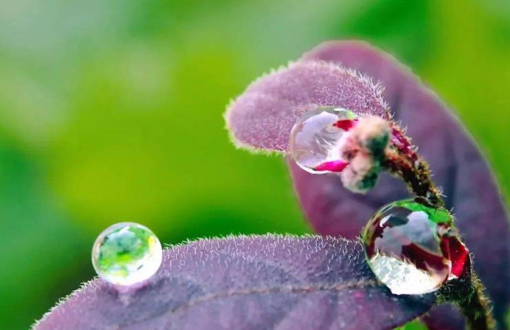 亥时出生的女孩分析