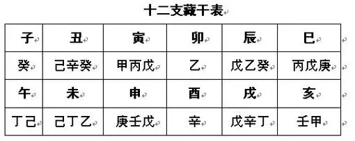地支藏干在地支组合中的影响