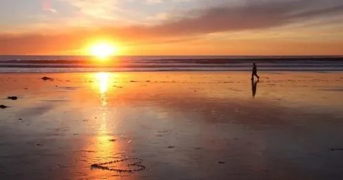 ​十二地支午火组合解读