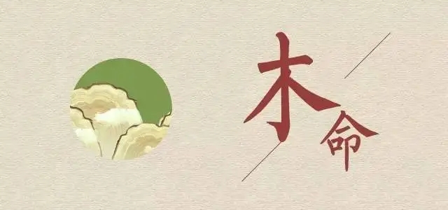 木命的人适合在什么方位工作