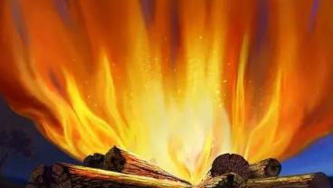 八字中木多火炽是什么意思