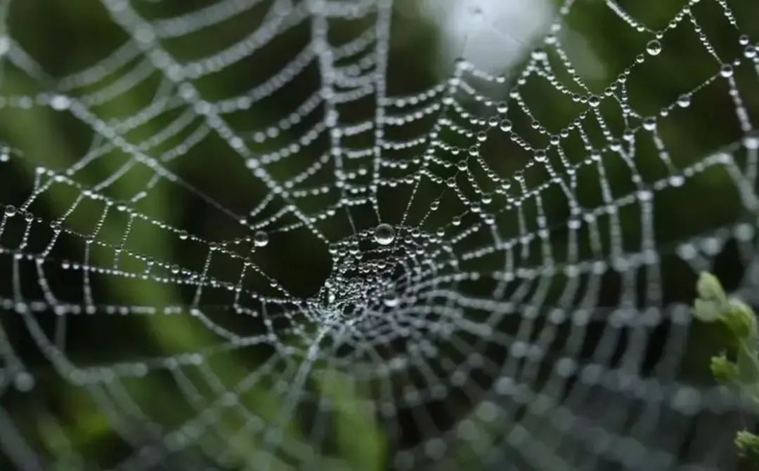 八字神煞天罗地网什么意思