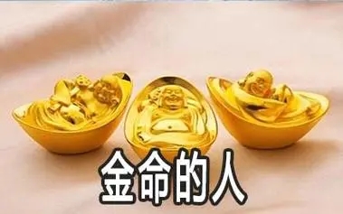 金命人是什么意思