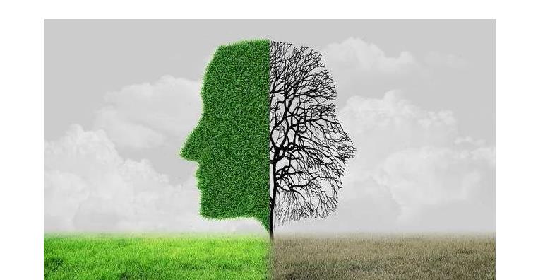 八字两神成象格什么意思